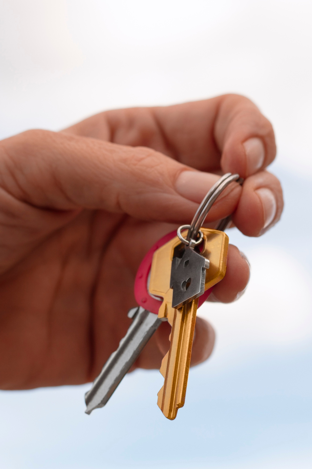consultora inmobiliaria3